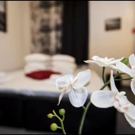 Z Jacuzzi Rynek Appart hôtel 3*